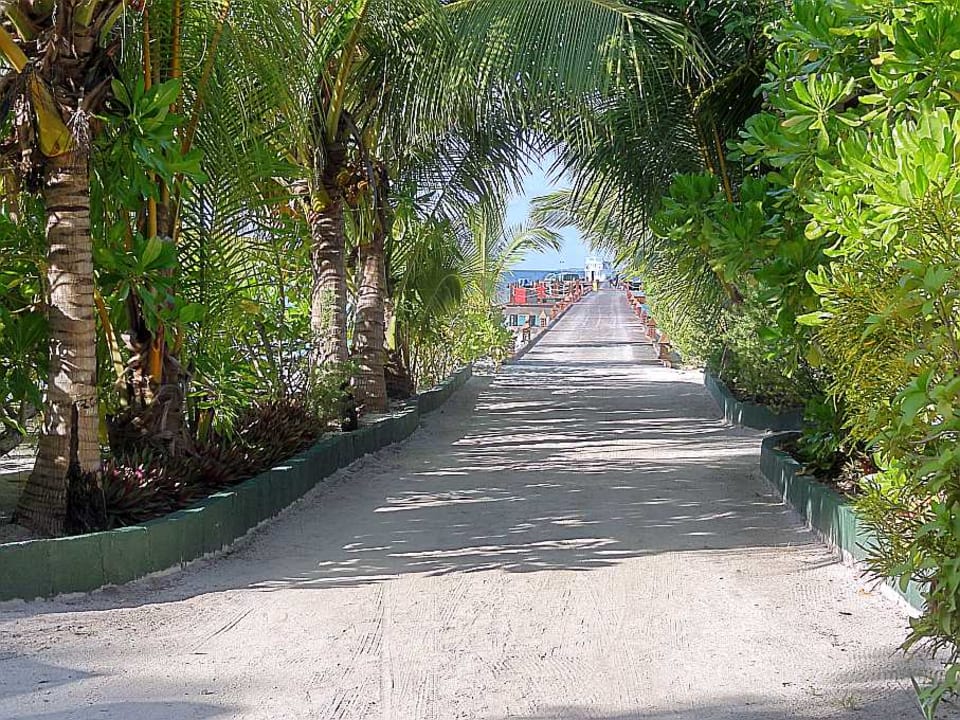 Gartenanlage Adaaran Select Meedhupparu Island Resort - Premium All Inclusive