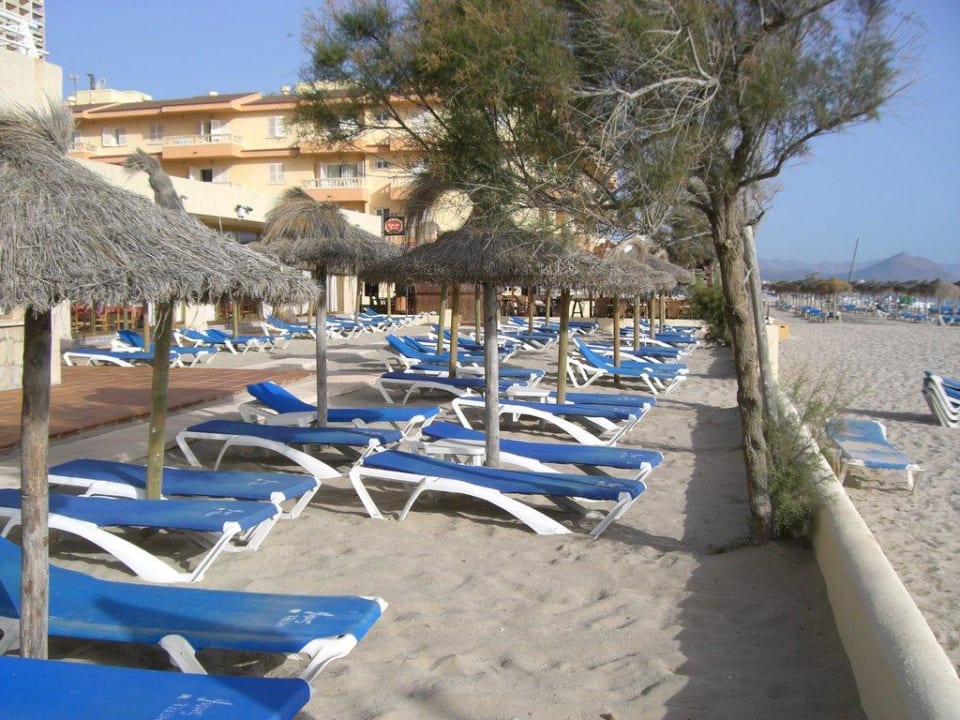 Der Hotel-Strand The Sea Hotel by Grupotel - Adults only