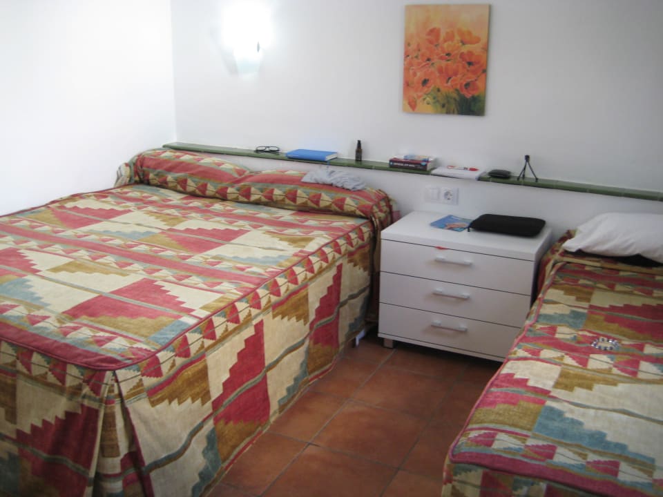 Zimmer Canary Garden Club