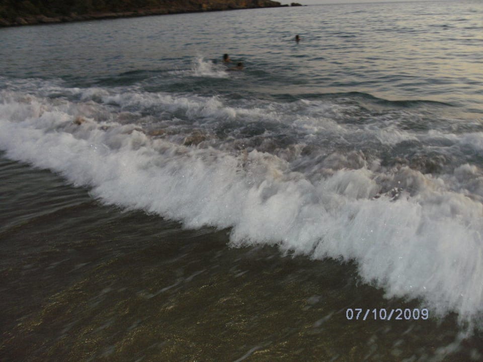 Wellengang Sealife Buket Resort & Beach