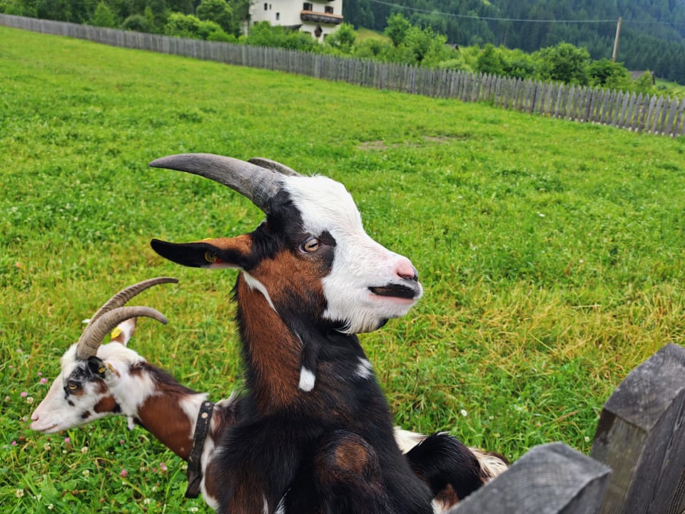 Sonstiges FONTIS luxury spa lodge