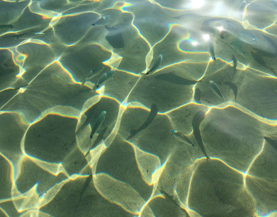 Strand Hotel Grand Teguise Playa