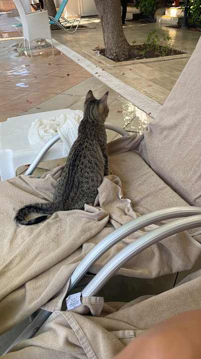 Zimmer Ramada Resort Lara