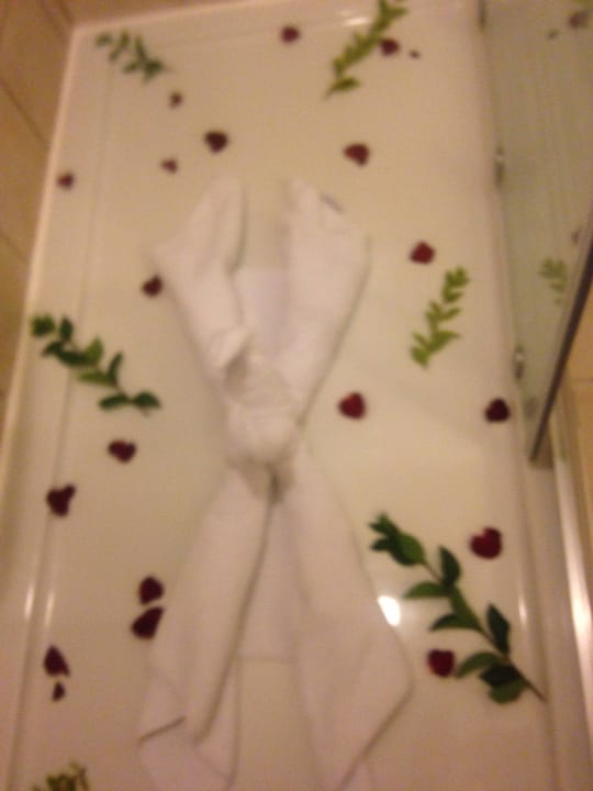 Superr Adalya ArtSide