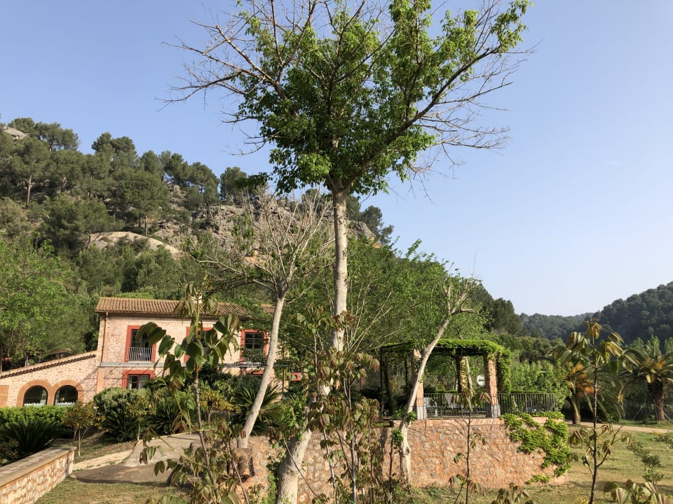 Gartenanlage Finca Ca N'Aí