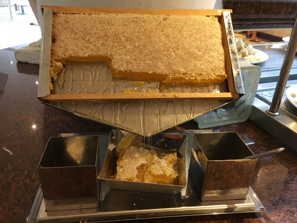 Gastro Monachus Family Resort Sorgun