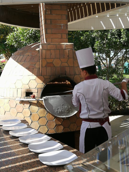 Sonstiges Desert Rose