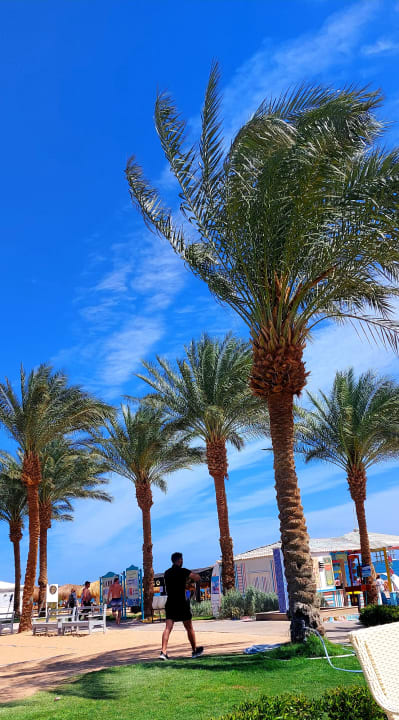 Strand Sentido Caribbean World Soma Bay