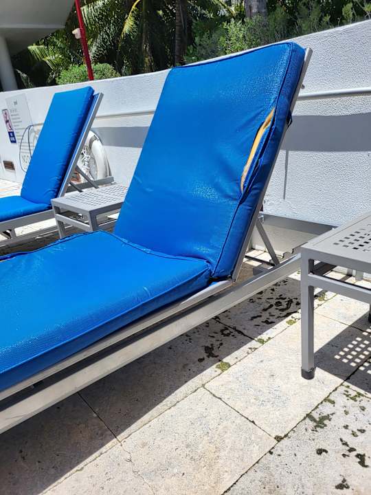 Pool Royal Palm South Beach Miami, a Tribute Portfolio Resort