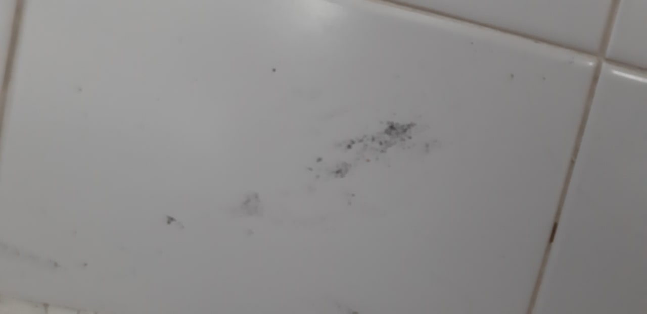 Zimmer Euro Village Achilleas Hotel