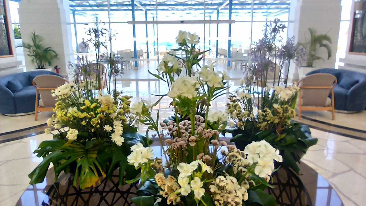 Lobby Pickalbatros Palace Resort