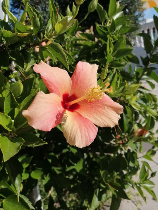 Gartenanlage Aldiana Club Rocca Nettuno Calabria