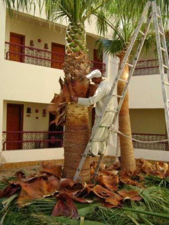 Территория отеля Regency Plaza Aqua Park & Spa