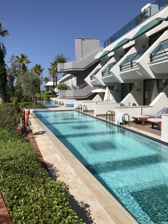 Pool Side Star Elegance