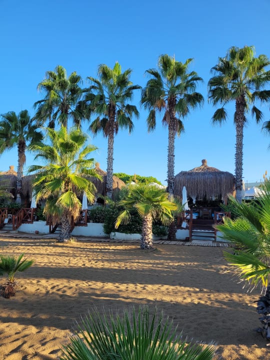 Strand Paloma Oceana