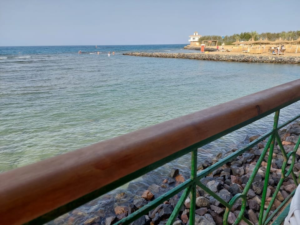 Ausblick Desert Rose