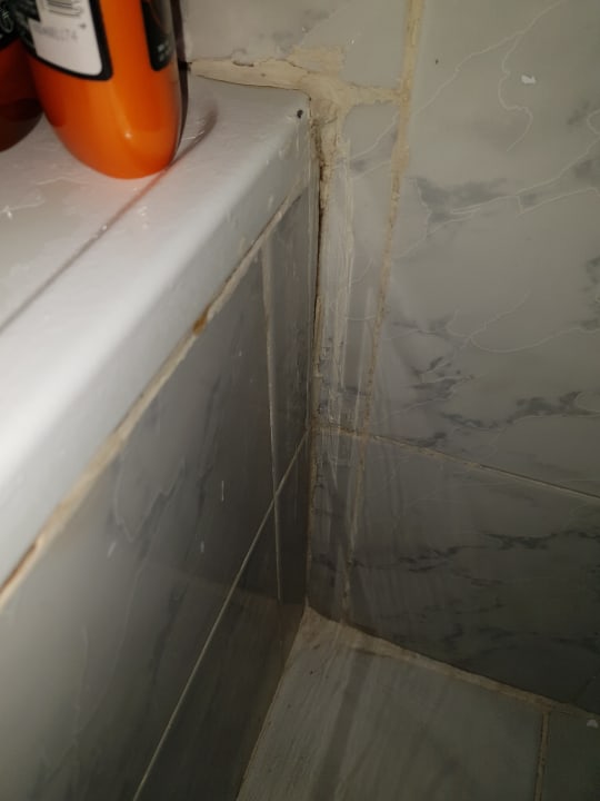 Zimmer Giftun Azur Resort