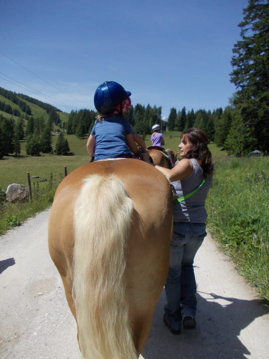 Das Glück der Erde liegt auf den Rücken der Pferde Familienbauernhof Grossgrub