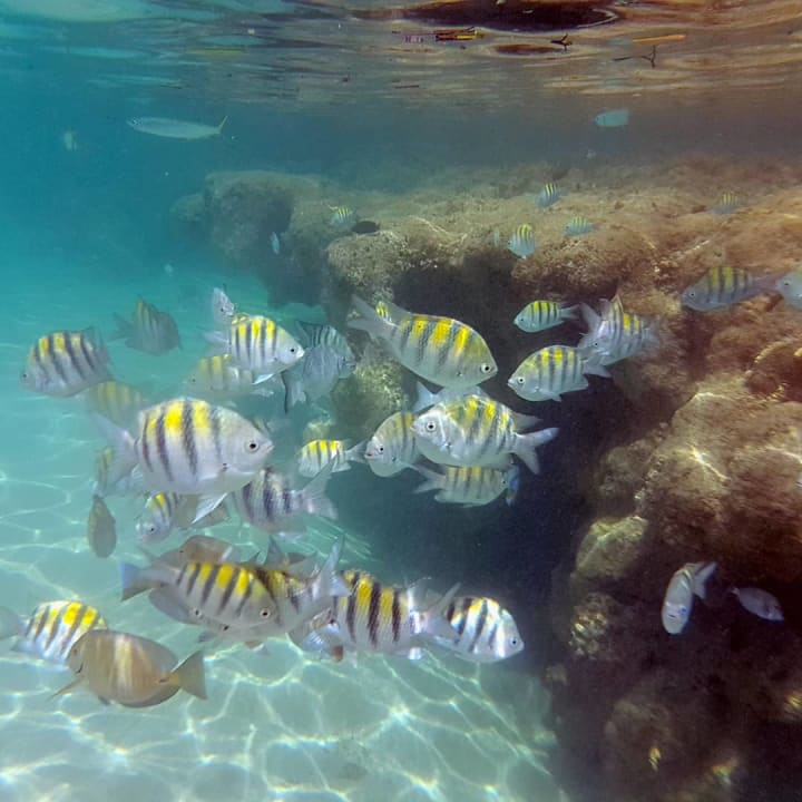 Strand Bahia Principe Grand El Portillo