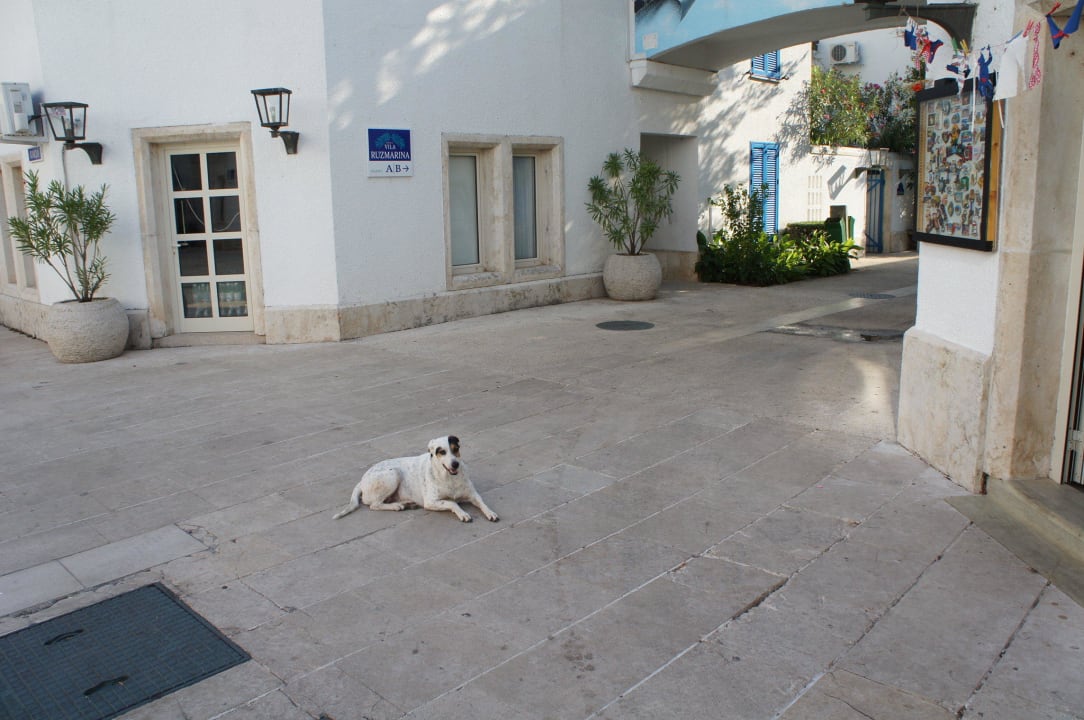 Hotel Hotel Aleksandar