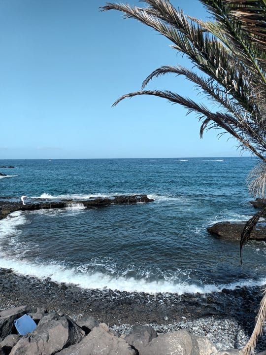 Strand Palm Beach Tenerife