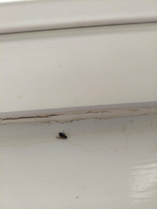 Zimmer Hotel Schloss Herrenstein