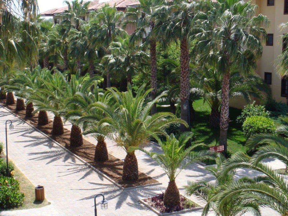 Gartenanlage Club Grand Side