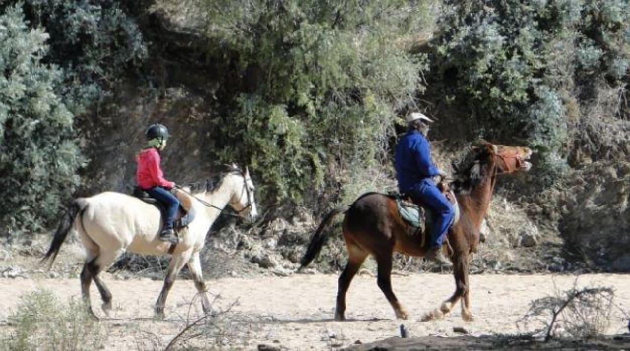 Western Reiten Tsawichas Farm