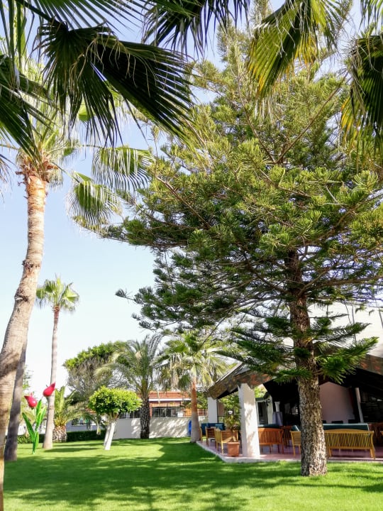 Gartenanlage Nerton Hotel - Erwachsenenhotel ab 16 Jahren