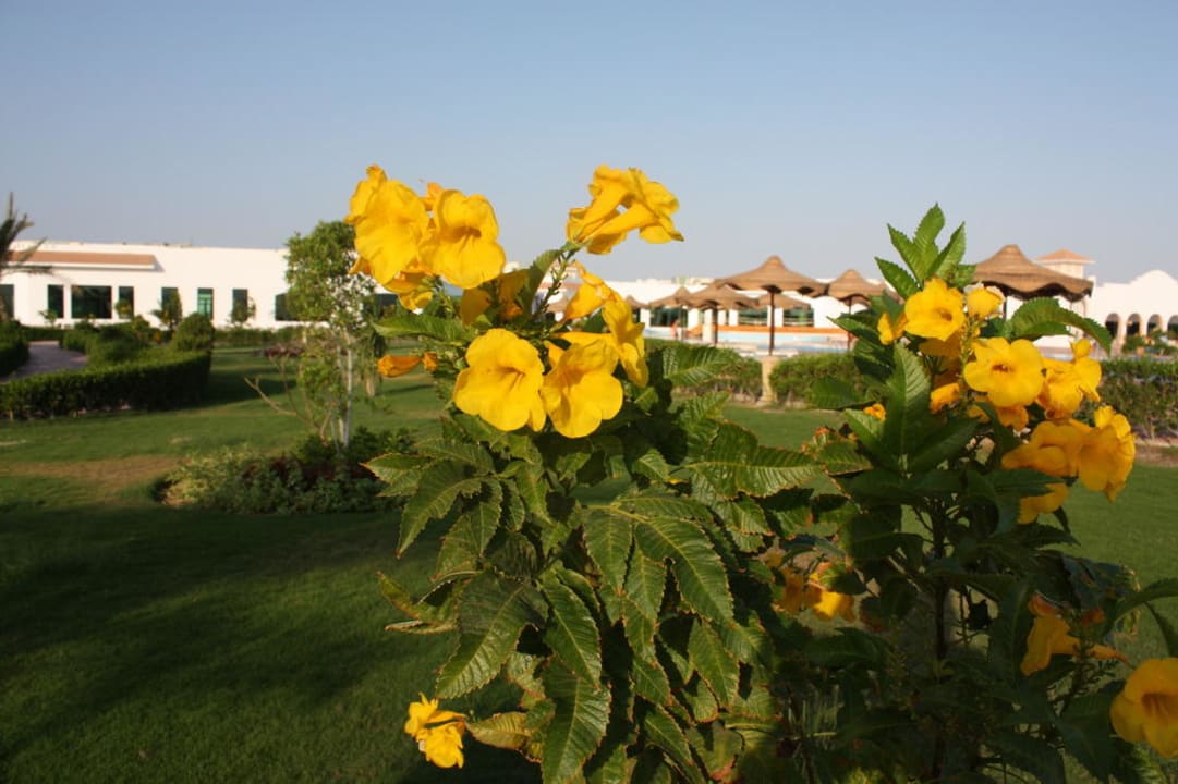 Oase in der Wüste Fantazia Resort Marsa Alam