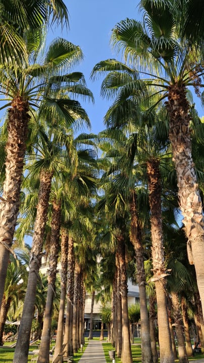 Gartenanlage Hotel Miramare Beach