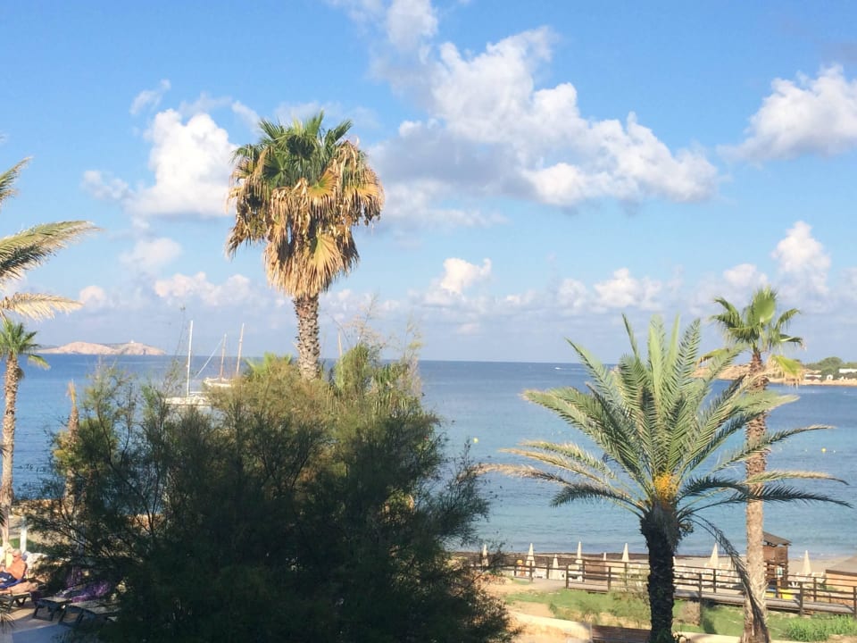 Ausblick vom Balkon Hotel-Apartamentos Blau Parc