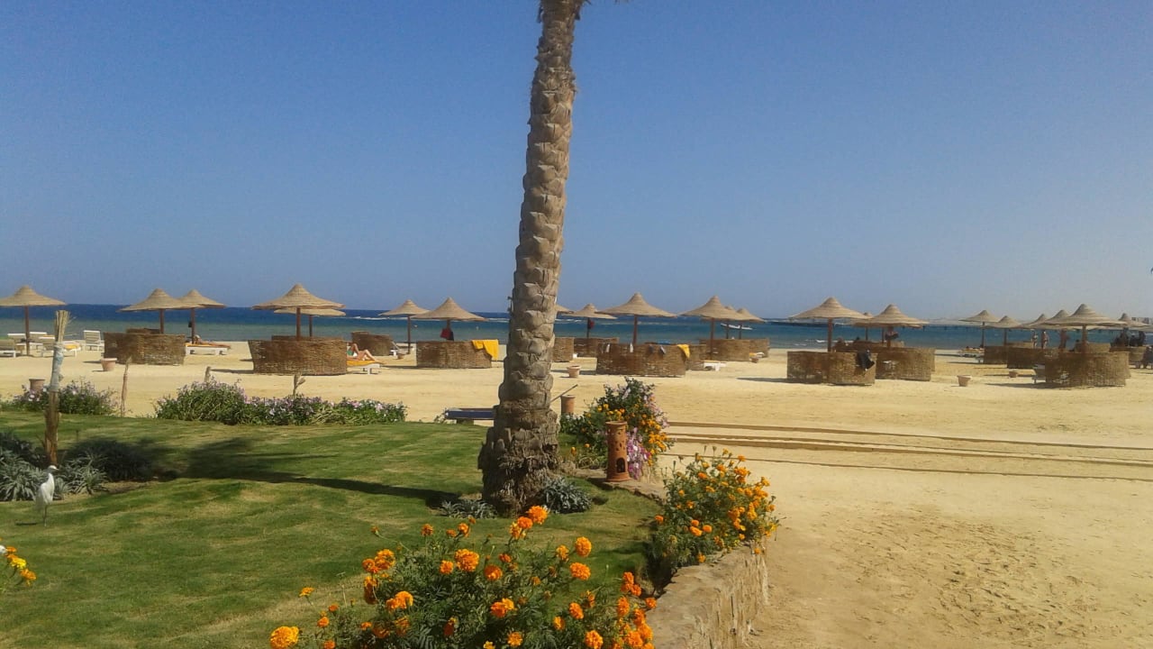 Blick zu den Liegen Three Corners Equinox Beach Resort