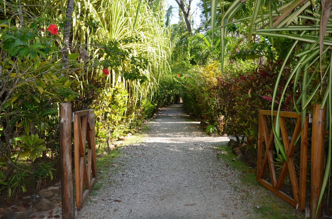 Sehr schöne grüne Gartenanlage Hotel Tropico Latino