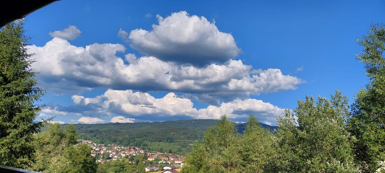 Ausblick Gästehaus Falkenau