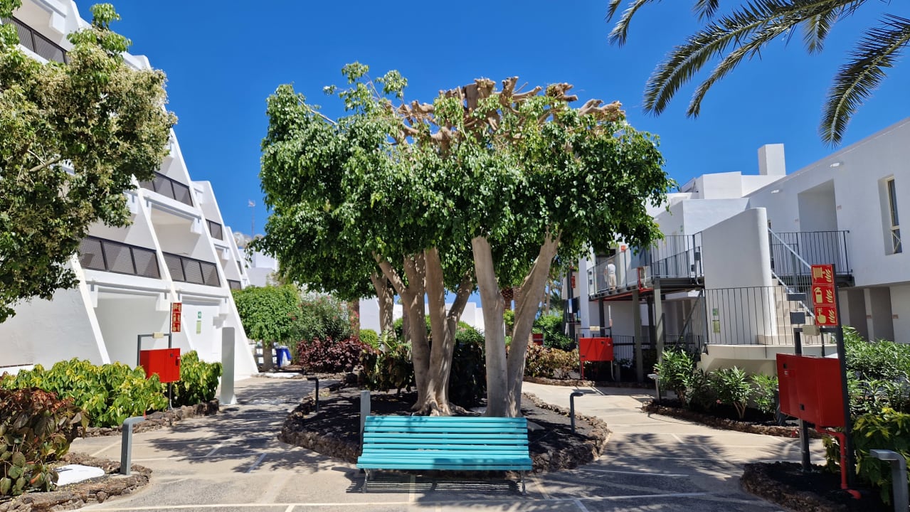 Gartenanlage Sol Fuerteventura Jandia - All Suites