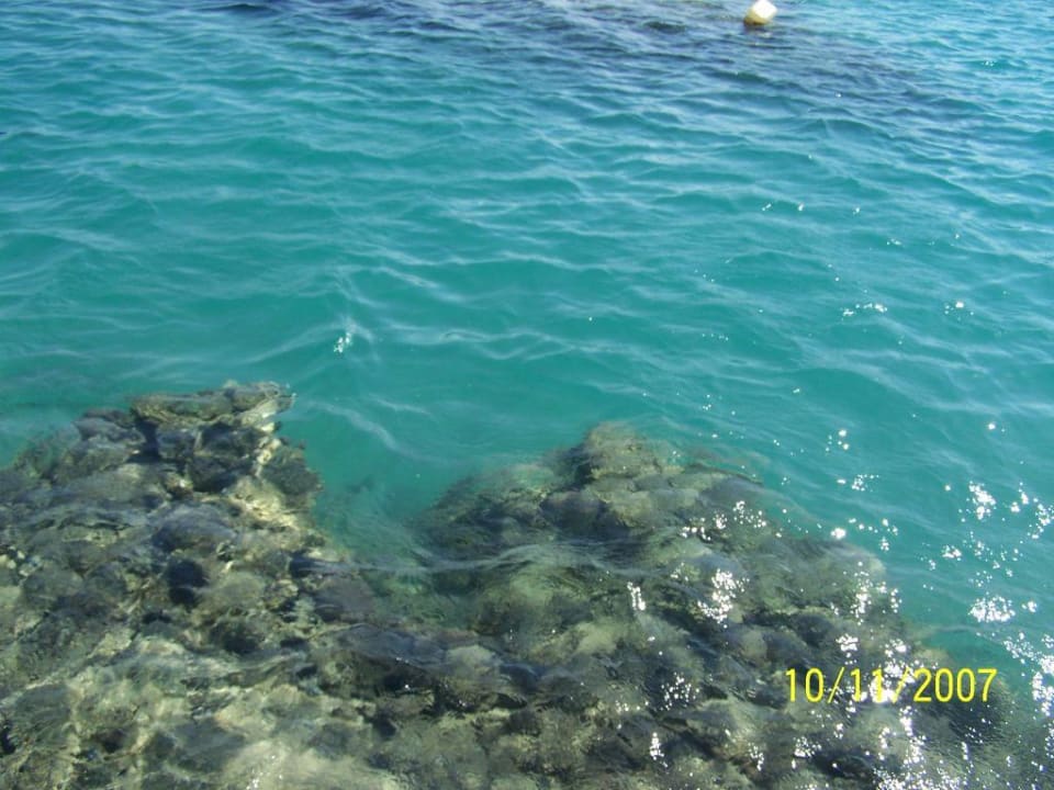 Rafa przy hotelu Xanadu Club Makady Bay