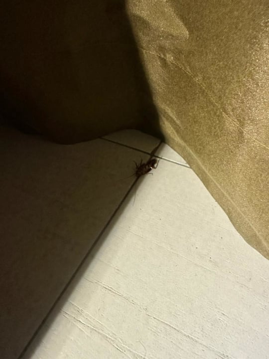 Zimmer Crystals Beach Resort Belle Mare, a member of Radisson Individuals