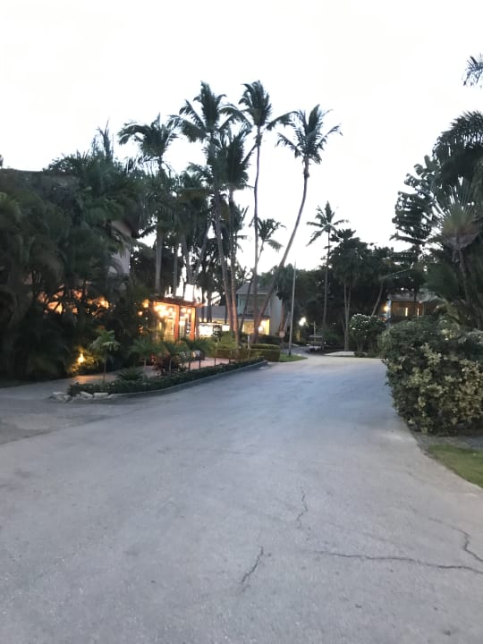 Gartenanlage Hotel Grand Palladium Palace Resort, Spa & Casino