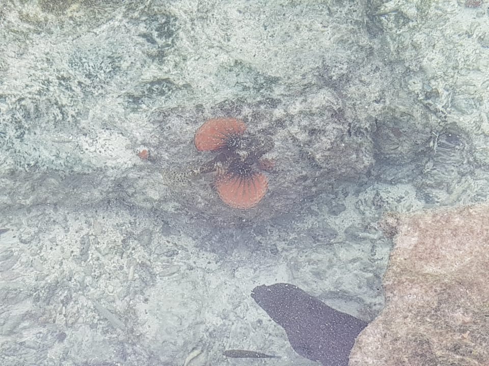 Sport & Freizeit Adaaran Select Hudhuran Fushi - Premium All Inclusive