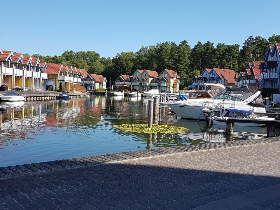 Ausblick Precise Resort Hafendorf Rheinsberg