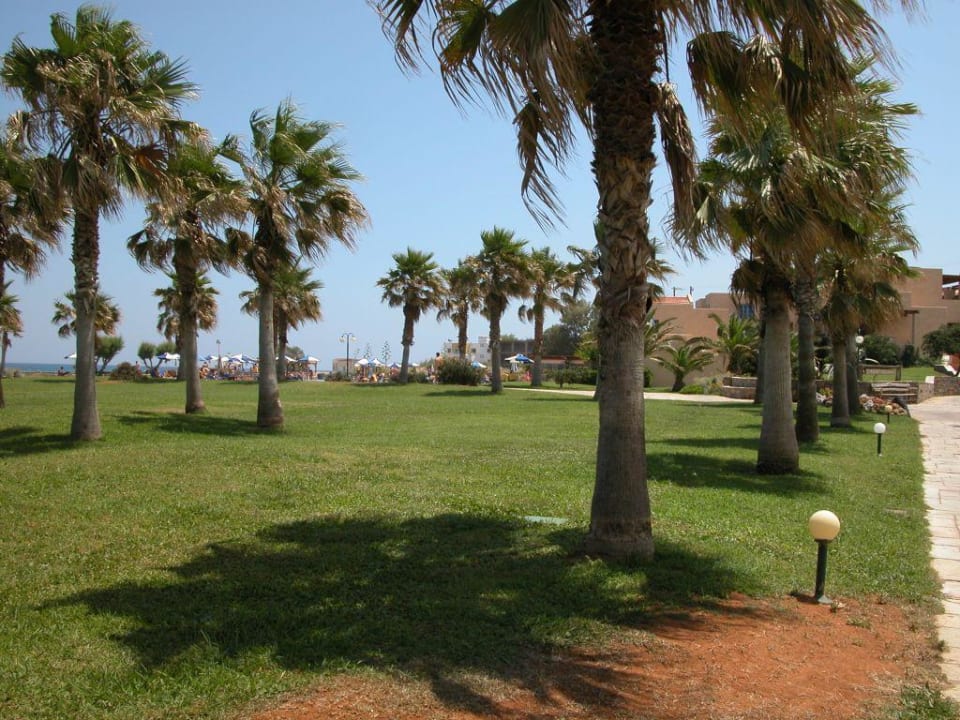 Hotel Club Calimera Sirens Beach Calimera Sirens Beach