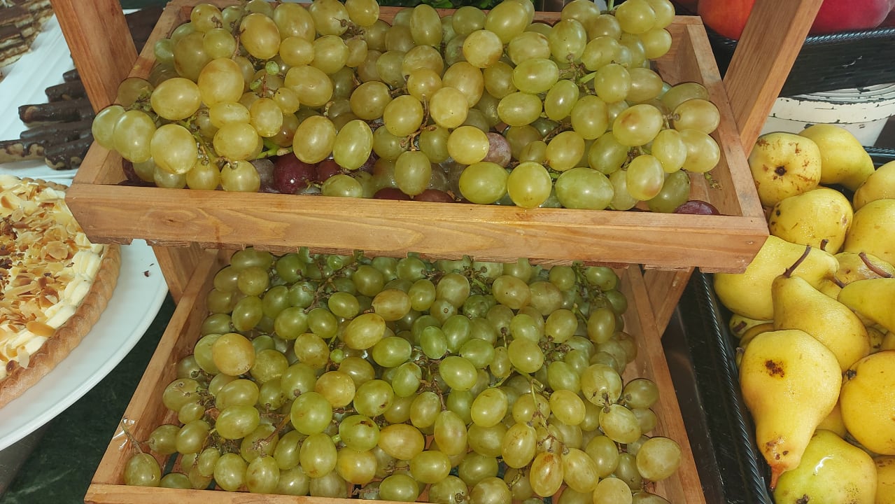 Gastro Hotel Royal Nozha