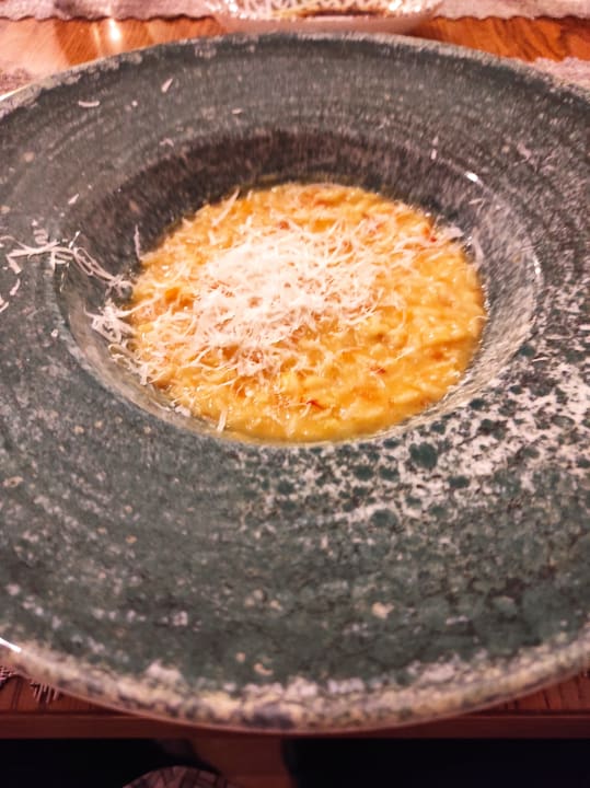 Gastro Acanthus Cennet Barut Collection