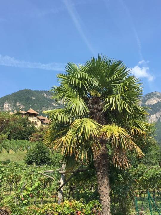 Sonstiges Garni Brunnenhof