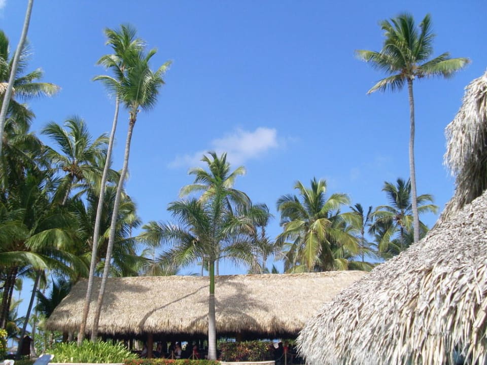 Poolrestaurant Hotel Grand Palladium Palace Resort, Spa & Casino