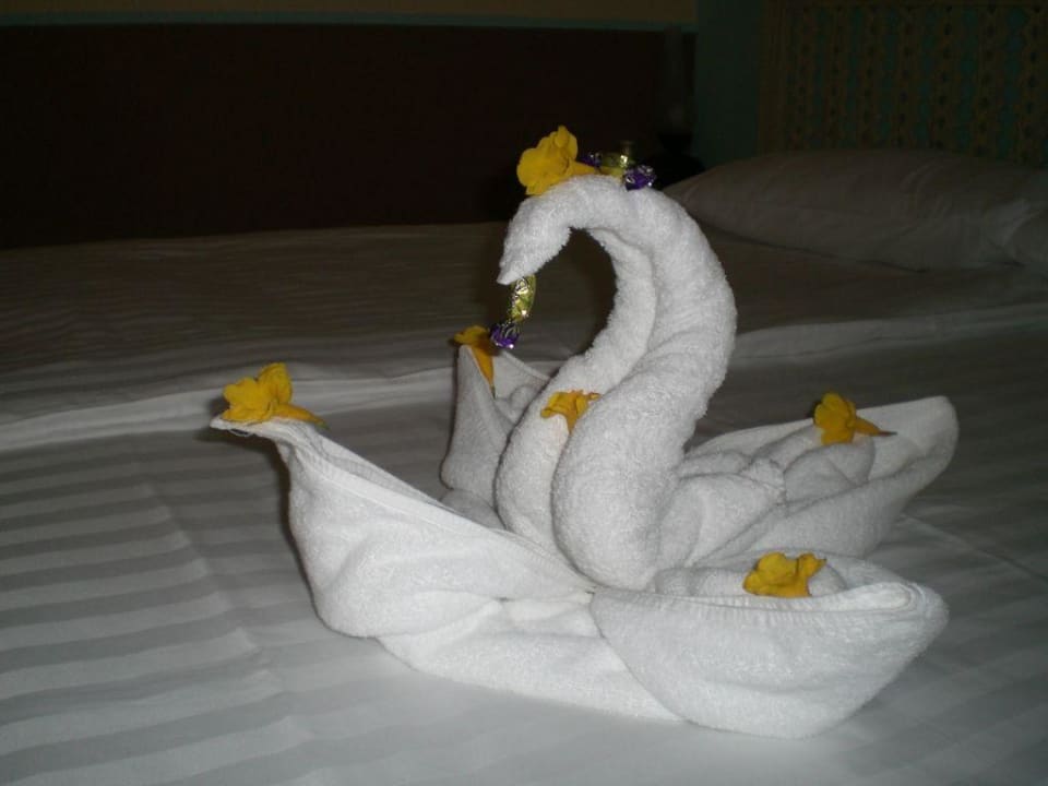 Room-Boy Awad war da  Radisson Blu Resort, El Quseir