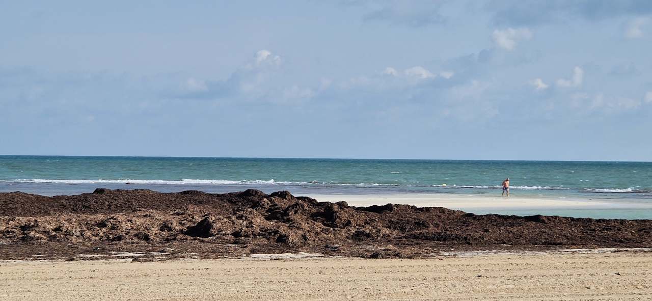 Pool Calimera Yati Beach