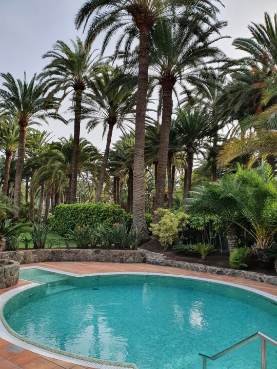 Pool Seaside Hotel Palm Beach