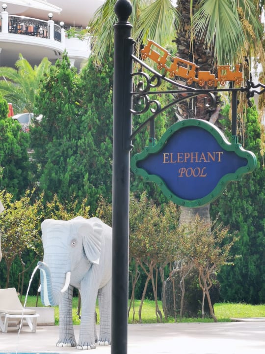 Pool Starlight Resort Hotel